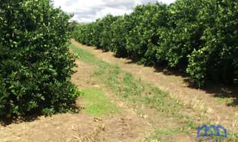 Imagem 6: Sítio/Fazenda à Venda, 350 alqueires por R$ 275.000.000 Cód. ch1961