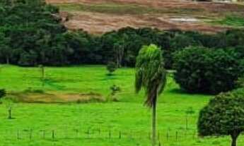 Imagem 7: Sítio/Fazenda à Venda, 12,19 alqueires por R$ 2.800.000 Cód. ch2017