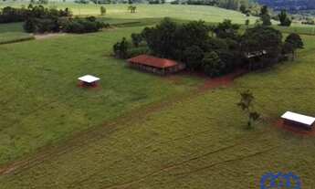 Imagem: Sítio/Fazenda à Venda, 12,19 alqueires
