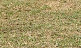 Imagem: Lote/Terreno à Venda, 1.020 m² por R$