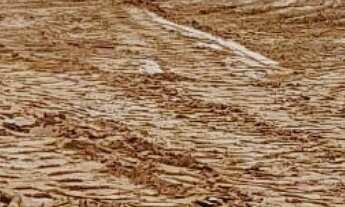 Imagem: TERRENO RURAL em MAIRINQUE - SP, porta do