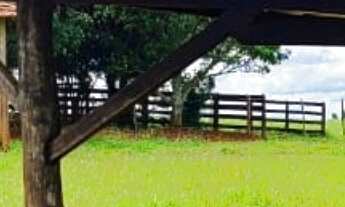 Imagem 4: Sítio/Fazenda à Venda, 12,19 alqueires por R$ 2.800.000 Cód. ch2017