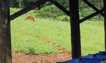 Imagem 5: Sítio/Fazenda à Venda, 12,19 alqueires por R$ 2.800.000 Cód. ch2017