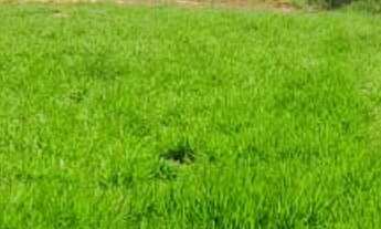 Imagem 3: TERRENO RURAL em MAIRINQUE - SP, dona catarina