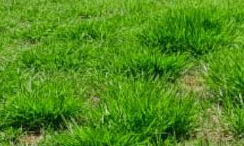 Imagem: TERRENO RURAL em MAIRINQUE - SP, dona catarina