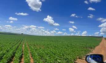 Imagem 7: Sítio/Fazenda à Venda, 413 alqueires por R$ 185.000.000 Cód. ch2045