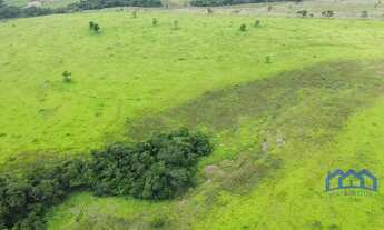Imagem 3: Sítio/Fazenda à Venda, 27 alqueires por R$ 6.000.000 Cód. ch2066