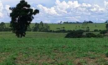 Imagem 6: Sítio/Fazenda à Venda, 56 alqueires por R$ 20.000.000 Cód.ch2050