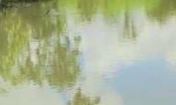 Imagem 6: Sítio/Fazenda à Venda, 24,61 alqueires por R$ 7.400.000 Cód. ch2060