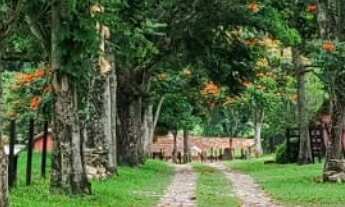 Imagem 2: Sítio/Fazenda à Venda, 56 alqueires por R$ 20.000.000 Cód.ch2050