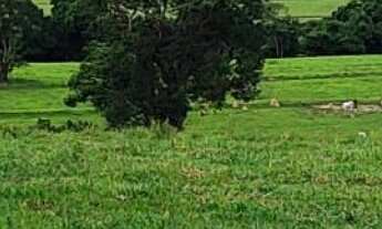 Imagem 4: Sítio/Fazenda à Venda, 56 alqueires por R$ 20.000.000 Cód.ch2050