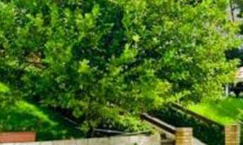 Imagem: CHACARA RURAL em MAIRINQUE - SP, porta do