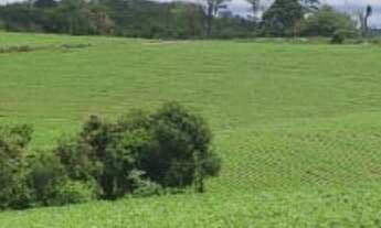 Imagem 4: Sítio/Fazenda à Venda, 24,61 alqueires por R$ 7.400.000 Cód. ch2060