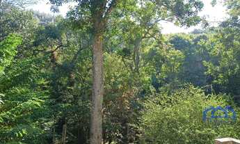 Imagem 5: Chacara com 3 Quartos e 2 banheiros, 2.800m² por R$ 1.100.000 COD. ps274