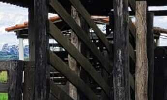 Imagem 7: Sítio/Fazenda à Venda, 56 alqueires por R$ 20.000.000 Cód.ch2050