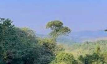 Imagem 3: Lote/Terreno à Venda, 5.250 m² por R$ 550.000 Cód. ps287