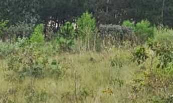 Imagem 3: Lote/Terreno à Venda, 2.000 m² por R$ 250.000 Cód. ch2143