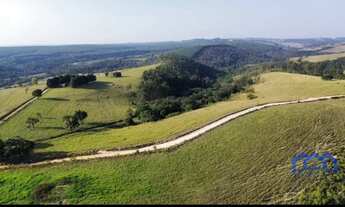 Imagem 4: Sítio/Fazenda à Venda, 37,5 alqueires por R$ 4.125.000 Cód. ch2090