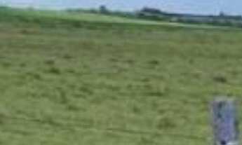 Imagem 3: Sítio/Fazenda à Venda, 240 alqueires por R$ 60.000.000 Cód. ch2132