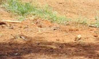 Imagem: Lote/Terreno à Venda, 2.000 m² por R$