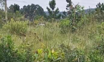 Imagem 5: Lote/Terreno à Venda, 2.000 m² por R$ 250.000 Cód. ch2143