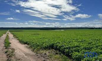 Imagem: Sítio/Fazenda à Venda, 240 alqueires por