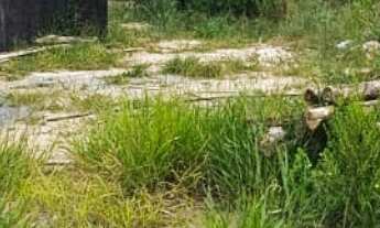 Imagem 5: Lote/Terreno à Venda, 2.400 m² por R$ 400.000 Cód. ch2139