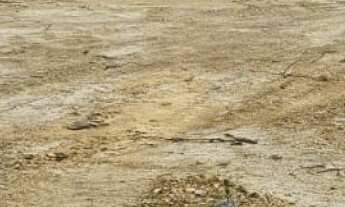 Imagem 7: Lote/Terreno à Venda, 2.000 m² por R$ 350.000 Cód. ch2142