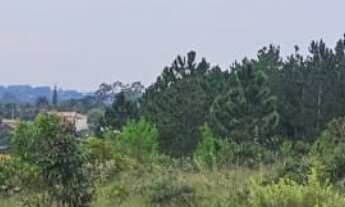 Imagem: Lote/Terreno à Venda, 2.000 m² por R$