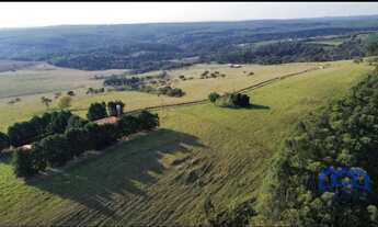 Imagem 3: Sítio/Fazenda à Venda, 37,5 alqueires por R$ 4.125.000 Cód. ch2090