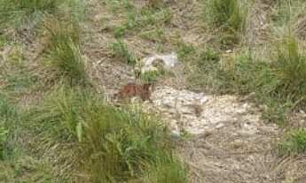 Imagem 2: Lote/Terreno à Venda, 2.000 m² por R$ 350.000 Cód. ch2142