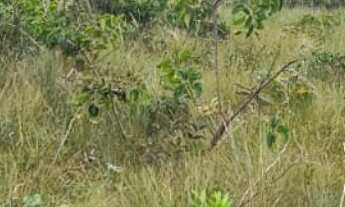 Imagem 4: Lote/Terreno à Venda, 2.000 m² por R$ 250.000 Cód. ch2143