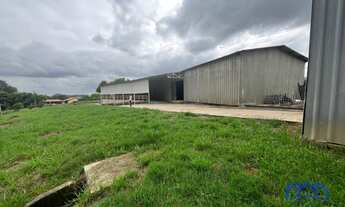 Imagem 4: Chácara com 4 Quartos e 2 banheiros à Venda, 5.000 m² por R$ 2.500.000 Cód. ch2145