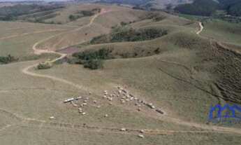 Imagem: Sítio/Fazenda à Venda, 105 alqueires por