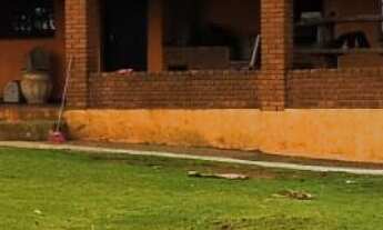 Imagem: Sítio/Fazenda à Venda, 80 alqueires por