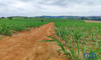 Imagem 2: Sitio/Fazenda à Venda, 45 alqueires por R$ 12.600.000 Cód. ch2282