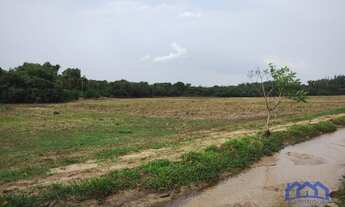 Imagem: Sítio/Fazenda à Venda, 13,6 alqueires