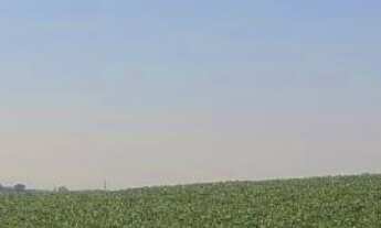 Imagem 2: Sítio/Fazenda à Venda, 99 alqueires por R$ 22.770.000 Cód. ch2243