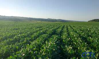 Imagem 6: Sítio/Fazenda à Venda, 99 alqueires por R$ 22.770.000 Cód. ch2243