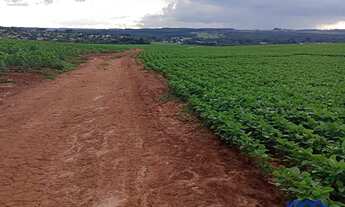 Imagem 4: Sítio/Fazenda à Venda, 99 alqueires por R$ 22.770.000 Cód. ch2243