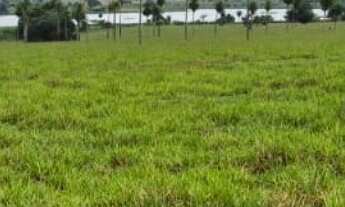 Imagem: Sítio/Fazenda à Venda, 390 alqueires por