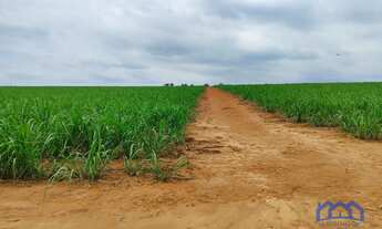 Imagem: Sitio/Fazenda à Venda, 45 alqueires por