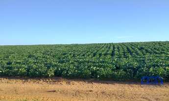 Imagem 3: Sítio/Fazenda à Venda, 99 alqueires por R$ 22.770.000 Cód. ch2243