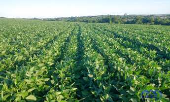 Imagem 5: Sítio/Fazenda à Venda, 99 alqueires por R$ 22.770.000 Cód. ch2243