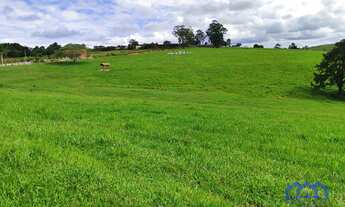 Imagem: Sítio/Fazenda à Venda, 53 alqueires por