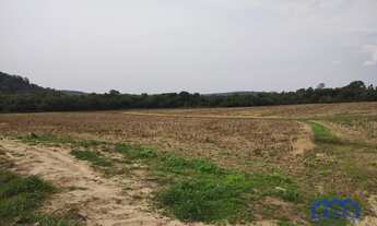 Imagem 5: Sítio/Fazenda à Venda, 13,6 alqueires por R$ 2.176.000 Cód. ch2281