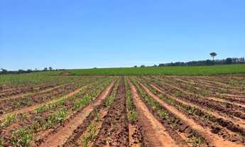 Imagem 2: Sítio/Fazenda à Venda, 380 alqueires por R$ 55.110.000 Cód. ch2311