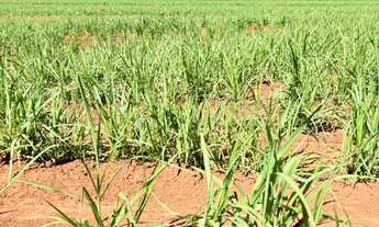 Imagem 6: Sítio/Fazenda à Venda, 380 alqueires por R$ 55.110.000 Cód. ch2311