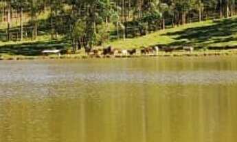 Imagem 3: Sítio/Fazenda à Venda, 119,5 alqueires por R$ 30.000.000 Cód. ch2310