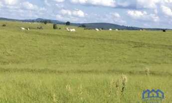 Imagem 7: Sítio/Fazenda à Venda, 100 alqueires por R$ 11.000.000 Cód. ch2296